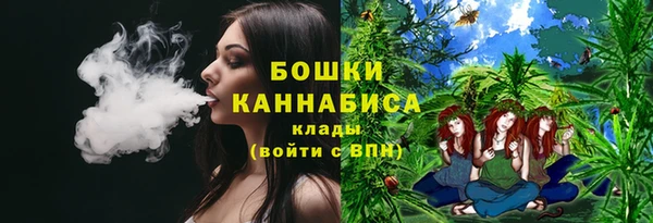 индика Верхнеуральск